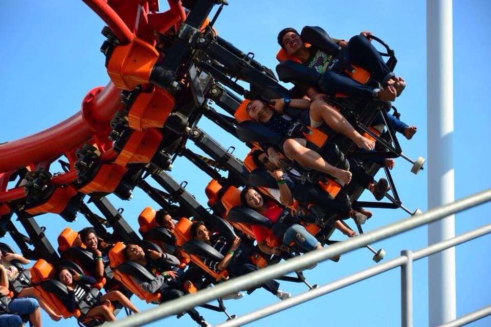 Family Coaster
