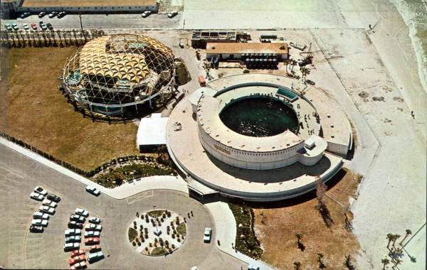 The Aquatarium