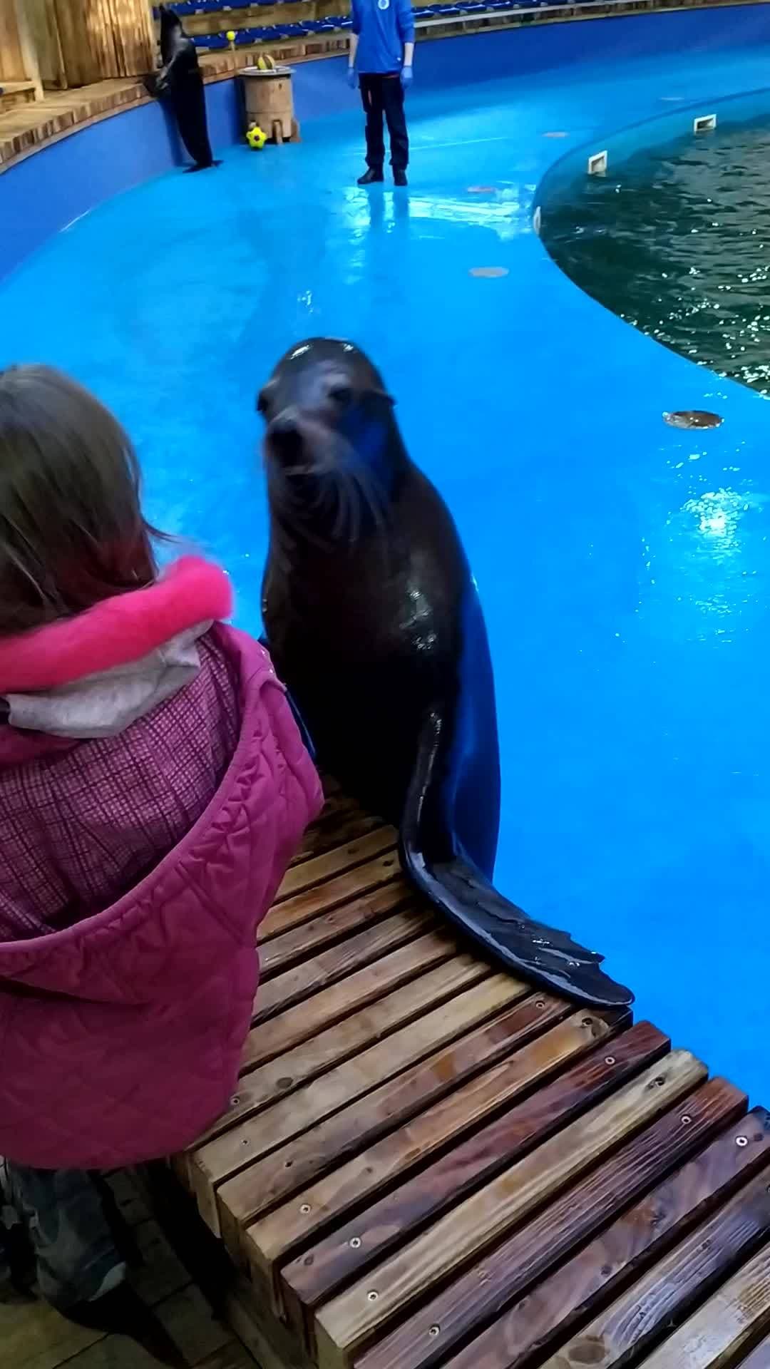 Sea Park Sarbsk