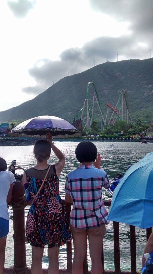 Parrot Coaster