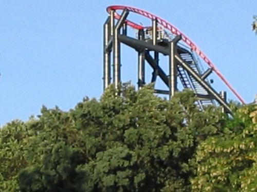 Tarántula