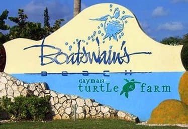 Cayman Turtle Centre