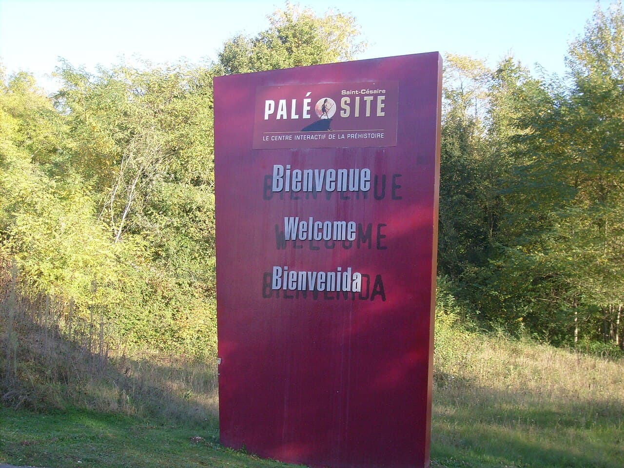 Paléosite de Saint-Césaire