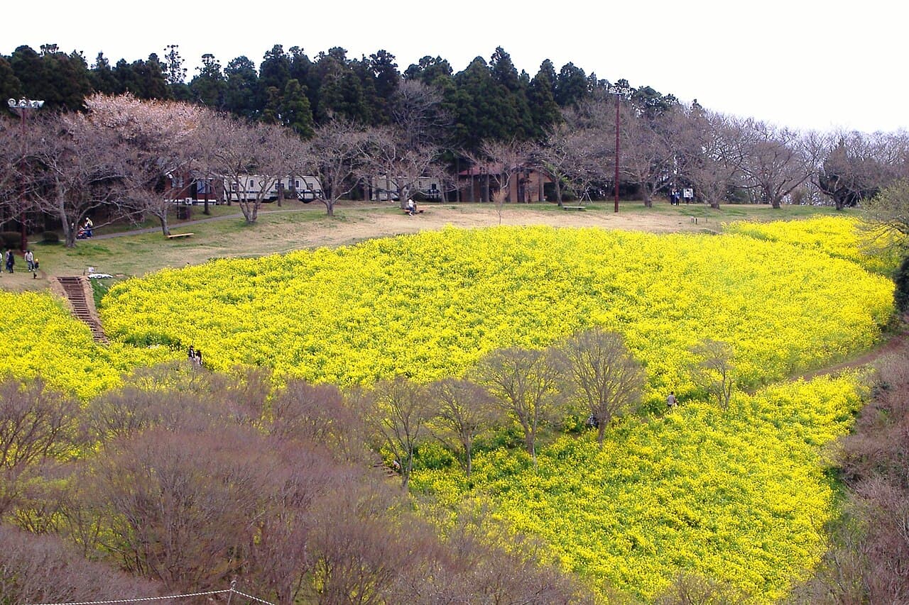 Mother Farm