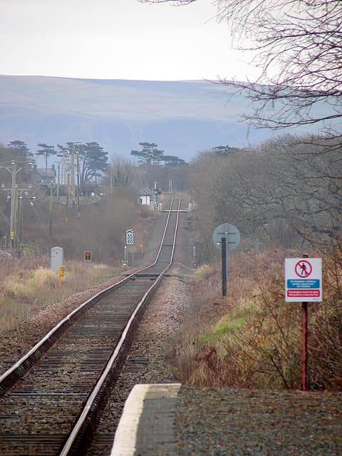 Roller Curve